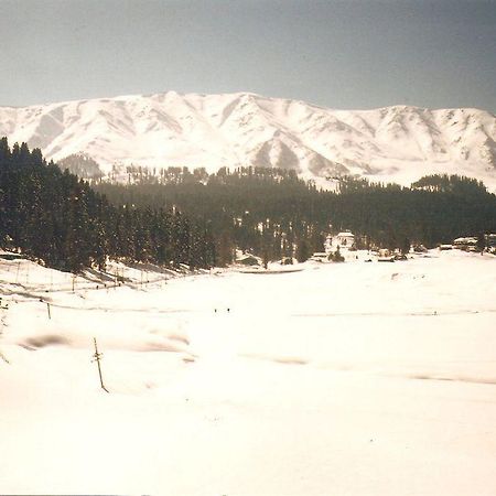 Hotel Zahgeer Continental - Srinagar Экстерьер фото